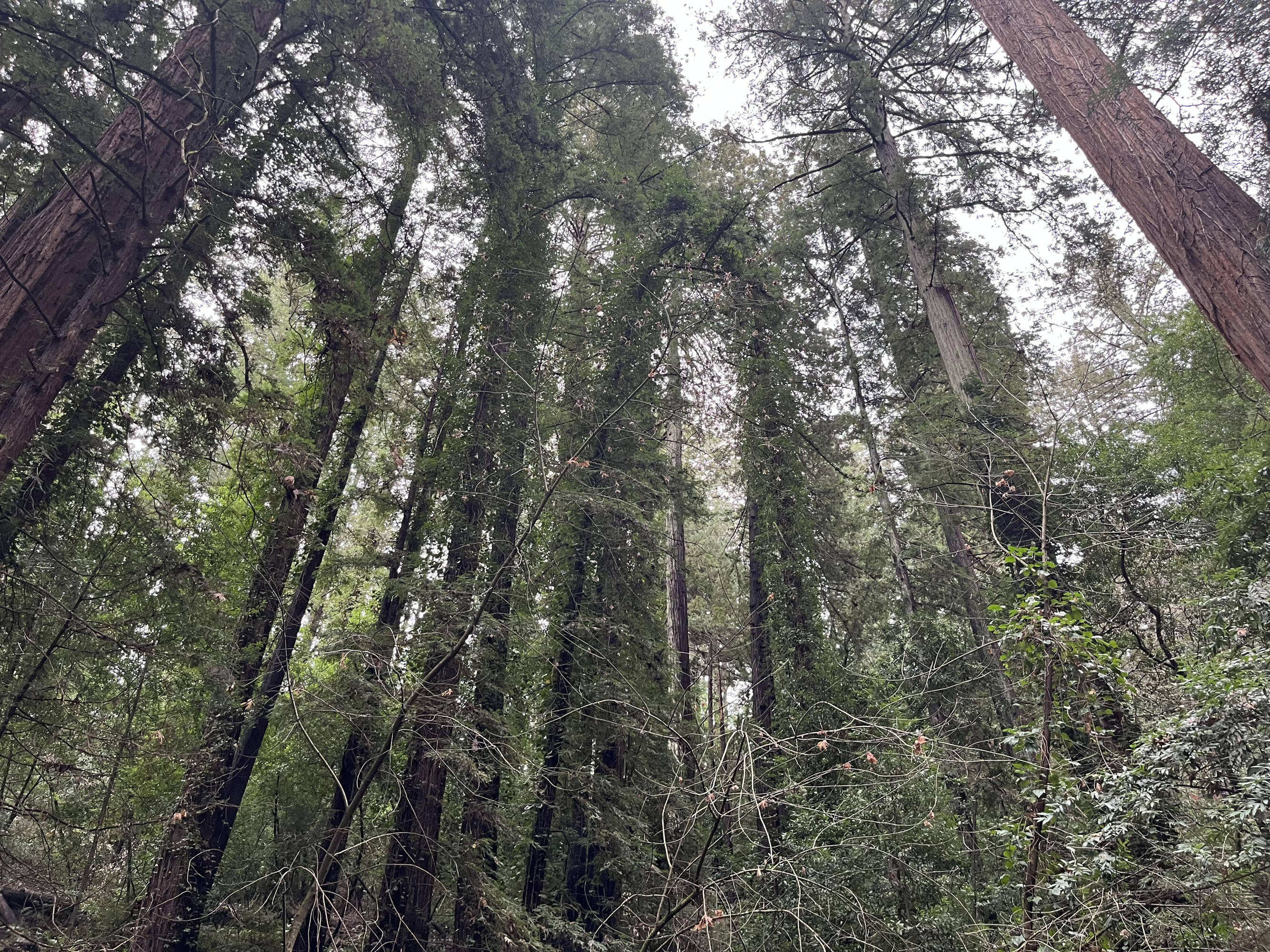 Opportunity/Residential/Land/Sale